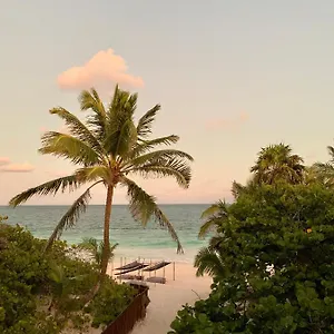 https://libelula-tulum.tulum-hotels.net